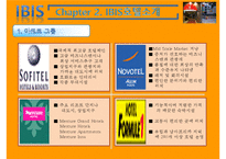 IBIS 호텔마케팅 전략-8