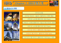 IBIS 호텔마케팅 전략-9