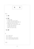 [관광상품기획론] 과거 역사와 현대 문화가 공존하는 관광상품 -백제역사관광지 공주와 부여-2