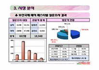 [관광상품기획론] 강원랜드 매직 페스티벌-9