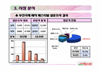 [관광상품기획론] 강원랜드 매직 페스티벌-10