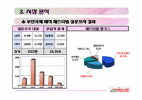 [관광상품기획론] 강원랜드 매직 페스티벌-11