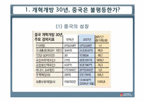 [중국정치] 중국의 빈부격차-4