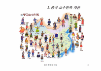 [중국정치] 중국 소수민족의 분리운동-3