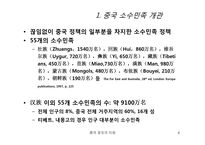 [중국정치] 중국 소수민족의 분리운동-4