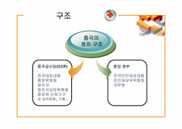 [중국정치] 중국의 당-정 체제 및 권력구조-2