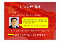 [중국정치] 중국의 강대국화-17
