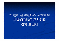 [국제물류론] 기업의 글로벌화와 물류체제-15