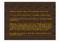 [일본사회와문화의이해] 훗카이도 동북3현-12