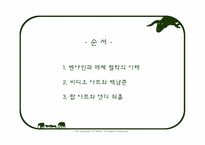 [매체와예술발달사] 매체에 대한 미학적 접근-3