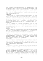 [서양고중세사] 로마법의 발달과정과 영향-5