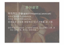 [서양고중세사] 중세의 마녀와 마녀사냥을 통한 고찰-3
