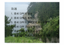 [서양고중세사] 중세의 대학에 관한 연구-2