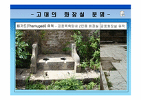 [서양고중세사] 화장실과 인류의 문명사-3