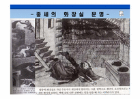 [서양고중세사] 화장실과 인류의 문명사-4