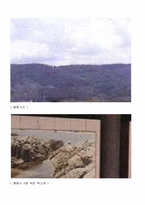 [임산공학] 목재 공학적 측면에서 본 황룡사 9층탑(23)-2