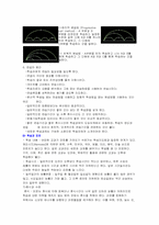 [교육심리] 학습의 조건과 과정에대한 분석-6