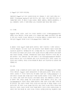 [교육심리] Piaget(피아제)의 인지이론에 대한 분석-2
