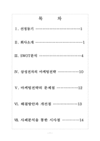 삼성전자의 마케팅전략 문제점과 해결방안 보고서입니다.-2
