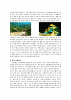세계 7대 불가사의-5