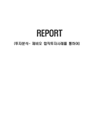 [경영]투자분석- 제비오 합작투자사례를 통하여-1