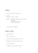 [사회]레저산업론 레포트-강원랜드-7