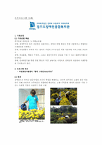 [사회]지역사회복지론-우수지역사례복지-9