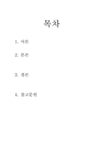 [사회]지역사회조직사업-1