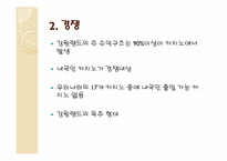 [사회]레저산업론-강원랜드-15