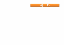 [사회]자원봉사론-대학생봉사-2