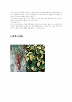 [생활과학]후추-3