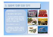 [인문]현대 일본의 연중행사-5
