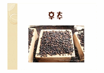 [인문]동서문명의교류-음식-4