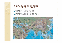 [인문]동서문명의교류-음식-5
