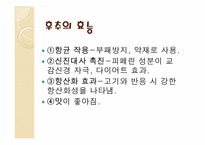 [인문]동서문명의교류-음식-11