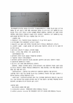 결과보고서 나일론 이야기-2