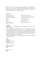 예비보고서 나일론 이야기-2