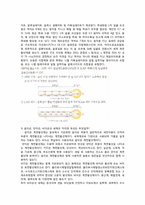 결과보고서 비누화반응-7