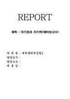 [공학]자기장과 자기력(예비보고서)-1