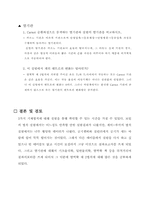 [공학]기체법칙 예비 결과-12
