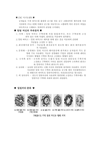 [공학]기계공작법 밀링머신에 대해서-4