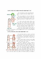 [스포츠와건강관리] 면역체계에 관한 분석-11
