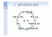 [스포츠와건강관리] 골다공증과 운동처방-4