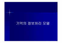 [교육심리] 학습의 인지 심리학적 접근-14