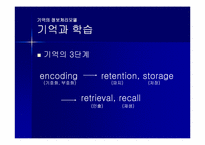 [교육심리] 학습의 인지 심리학적 접근-17