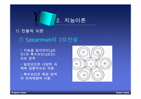 [교육심리] 지능과 창의력-4