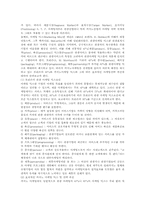카지노마케팅 레포트-10