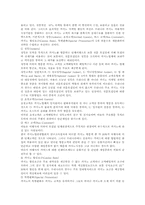 카지노마케팅 레포트-11