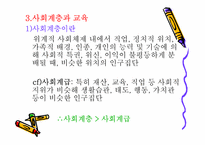 교육의 사회적 기초-20