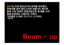 UCC Boom-up(붐업) 문제점 및 해결방안-11